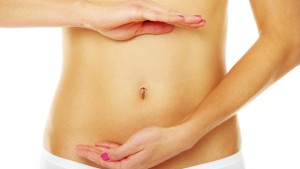 digestive-system